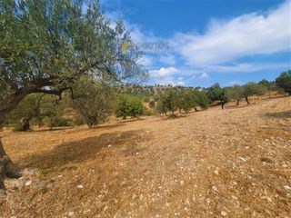 Οικόπεδο 9.557,50 τ.μ. για πώληση, Αργολίδα, Κρανίδι-thumb-21