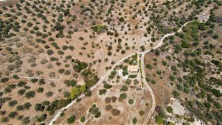 Οικόπεδο 9.557,50 τ.μ. για πώληση, Αργολίδα, Κρανίδι-thumb-3