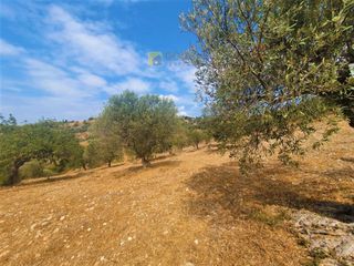 Οικόπεδο 9.557,50 τ.μ. για πώληση, Αργολίδα, Κρανίδι-thumb-24