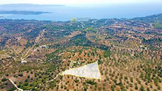 Οικόπεδο 9.557,50 τ.μ. για πώληση, Αργολίδα, Κρανίδι-thumb-1