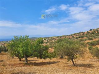 Οικόπεδο 9.557,50 τ.μ. για πώληση, Αργολίδα, Κρανίδι-thumb-17