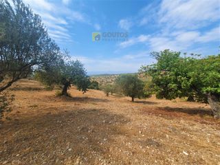 Οικόπεδο 9.557,50 τ.μ. για πώληση, Αργολίδα, Κρανίδι-thumb-15