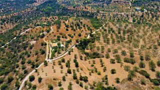 Οικόπεδο 9.557,50 τ.μ. για πώληση, Αργολίδα, Κρανίδι-thumb-9