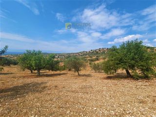 Οικόπεδο 9.557,50 τ.μ. για πώληση, Αργολίδα, Κρανίδι-thumb-18