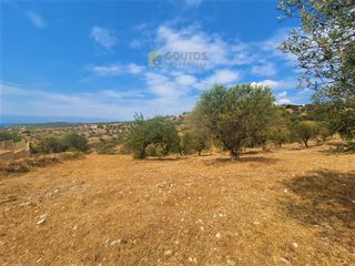 Οικόπεδο 9.557,50 τ.μ. για πώληση, Αργολίδα, Κρανίδι-thumb-25