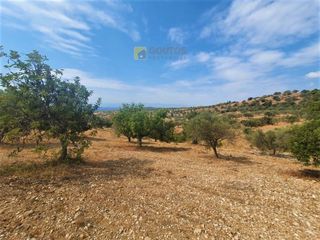 Οικόπεδο 9.557,50 τ.μ. για πώληση, Αργολίδα, Κρανίδι-thumb-26