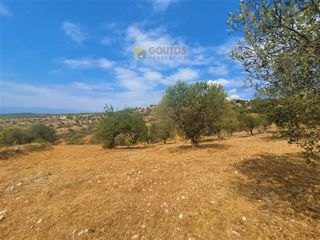 Οικόπεδο 9.557,50 τ.μ. για πώληση, Αργολίδα, Κρανίδι-thumb-23