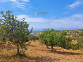Οικόπεδο 9.557,50 τ.μ. για πώληση, Αργολίδα, Κρανίδι-thumb-27