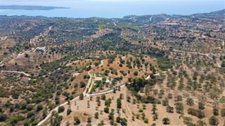Οικόπεδο 9.557,50 τ.μ. για πώληση, Αργολίδα, Κρανίδι-thumb-6