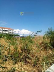 Οικόπεδο 2.020 τ.μ. πρός πώληση, Αρκαδία, Βόρεια Κυνουρία-thumb-16
