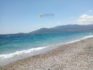 Οικόπεδο 2.020 τ.μ. πρός πώληση, Αρκαδία, Βόρεια Κυνουρία-thumb-12