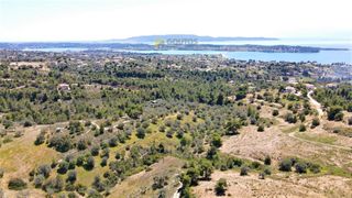 Αγροτεμάχια 20.441 τ.μ. για πώληση, Αργολίδα, Κρανίδι-thumb-12