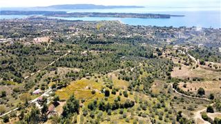 Αγροτεμάχια 20.441 τ.μ. για πώληση, Αργολίδα, Κρανίδι-thumb-19