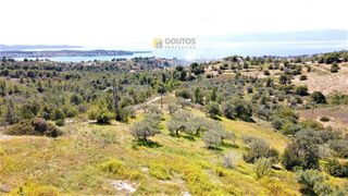 Αγροτεμάχια 20.441 τ.μ. για πώληση, Αργολίδα, Κρανίδι-thumb-14
