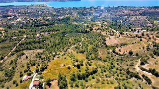 Αγροτεμάχια 20.441 τ.μ. για πώληση, Αργολίδα, Κρανίδι-thumb-26