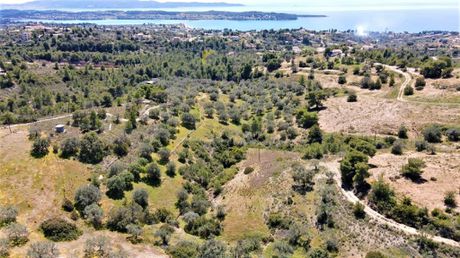 Αγροτεμάχια 20.441 τ.μ. για πώληση