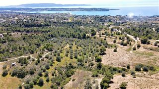 Αγροτεμάχια 20.441 τ.μ. για πώληση, Αργολίδα, Κρανίδι-thumb-4