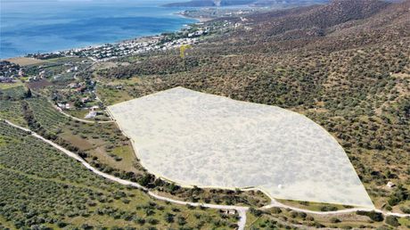 Οικόπεδο 32.604 τ.μ. για πώληση
