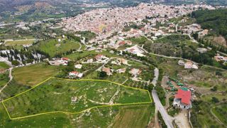 Οικόπεδο 12.304 τ.μ. για πώληση, Αργολίδα, Κρανίδι-thumb-1