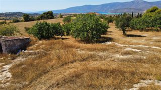 Οικόπεδο 12.304 τ.μ. για πώληση, Αργολίδα, Κρανίδι-thumb-28