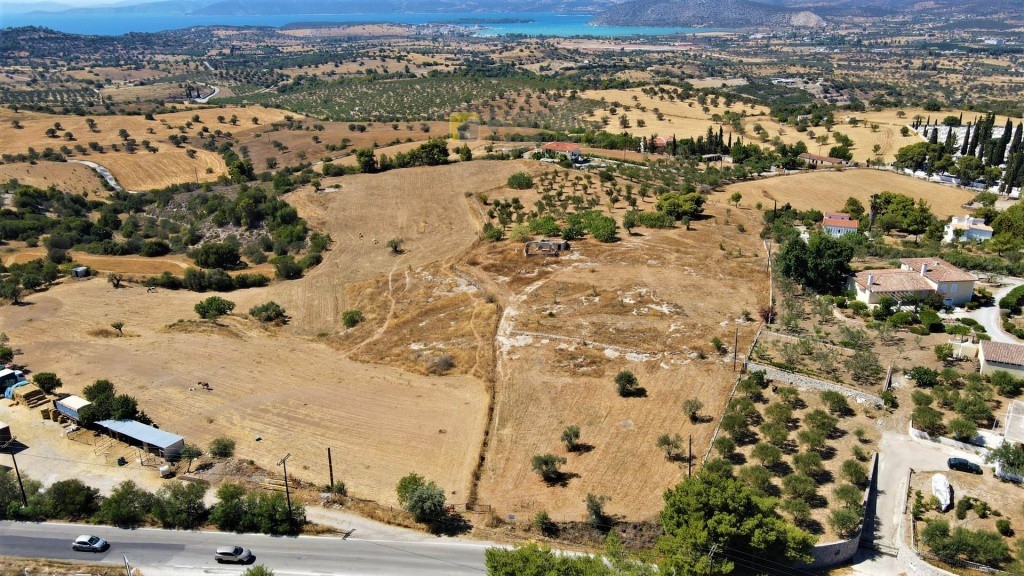 Οικόπεδο 12.304 τ.μ. προς πώληση, Αργολίδα, Κρανίδι