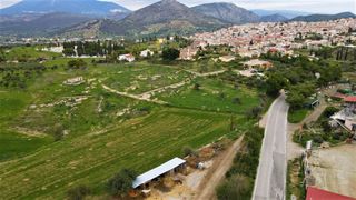 Οικόπεδο 12.304 τ.μ. για πώληση, Αργολίδα, Κρανίδι-thumb-18