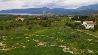 Οικόπεδο 12.304 τ.μ. για πώληση, Αργολίδα, Κρανίδι-thumb-16