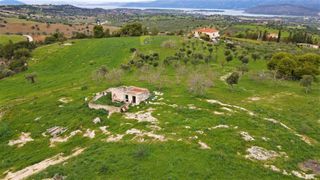 Οικόπεδο 12.304 τ.μ. για πώληση, Αργολίδα, Κρανίδι-thumb-14