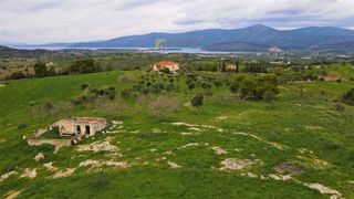 Οικόπεδο 12.304 τ.μ. για πώληση, Αργολίδα, Κρανίδι-thumb-15