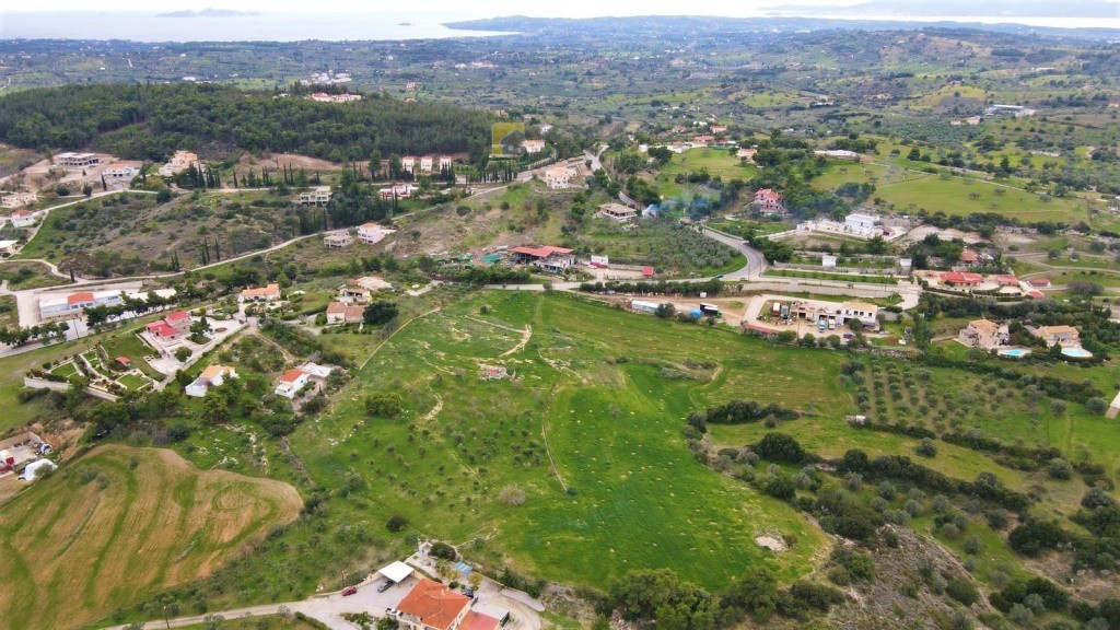Οικόπεδο 12.304 τ.μ. προς πώληση, Αργολίδα, Κρανίδι