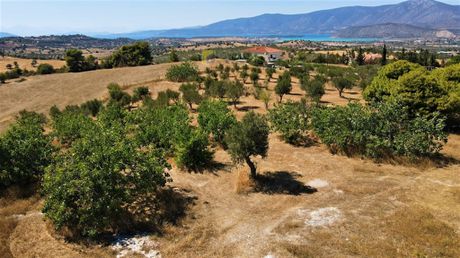 Οικόπεδο 12.304 τ.μ. για πώληση