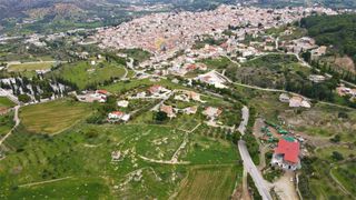 Οικόπεδο 12.304 τ.μ. για πώληση, Αργολίδα, Κρανίδι-thumb-7
