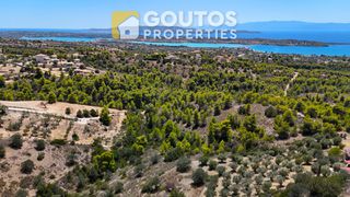 Οικόπεδο 16.000 τ.μ. πρός πώληση, Αργολίδα, Κρανίδι-thumb-17
