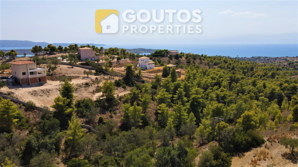 Οικόπεδο 16.000 τ.μ. πρός πώληση, Αργολίδα, Κρανίδι