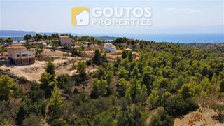 Οικόπεδο 16.000 τ.μ. πρός πώληση, Αργολίδα, Κρανίδι-thumb-1