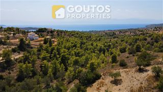 Οικόπεδο 16.000 τ.μ. πρός πώληση, Αργολίδα, Κρανίδι-thumb-3