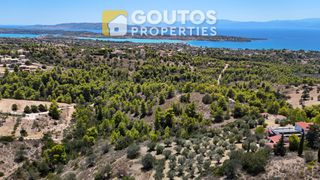 Οικόπεδο 32.000 τ.μ. πρός πώληση, Αργολίδα, Κρανίδι-thumb-12