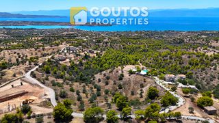 Οικόπεδο 32.000 τ.μ. πρός πώληση, Αργολίδα, Κρανίδι-thumb-6