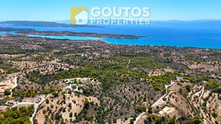 Οικόπεδο 32.000 τ.μ. πρός πώληση, Αργολίδα, Κρανίδι-thumb-1