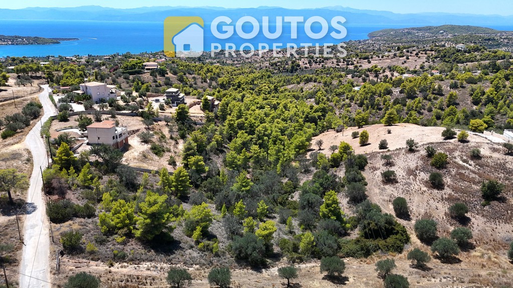 Οικόπεδο 32.000 τ.μ. προς πώληση, Αργολίδα, Κρανίδι