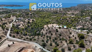 Οικόπεδο 32.000 τ.μ. πρός πώληση, Αργολίδα, Κρανίδι-thumb-5