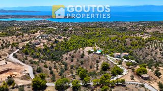 Οικόπεδο 32.000 τ.μ. πρός πώληση, Αργολίδα, Κρανίδι-thumb-8
