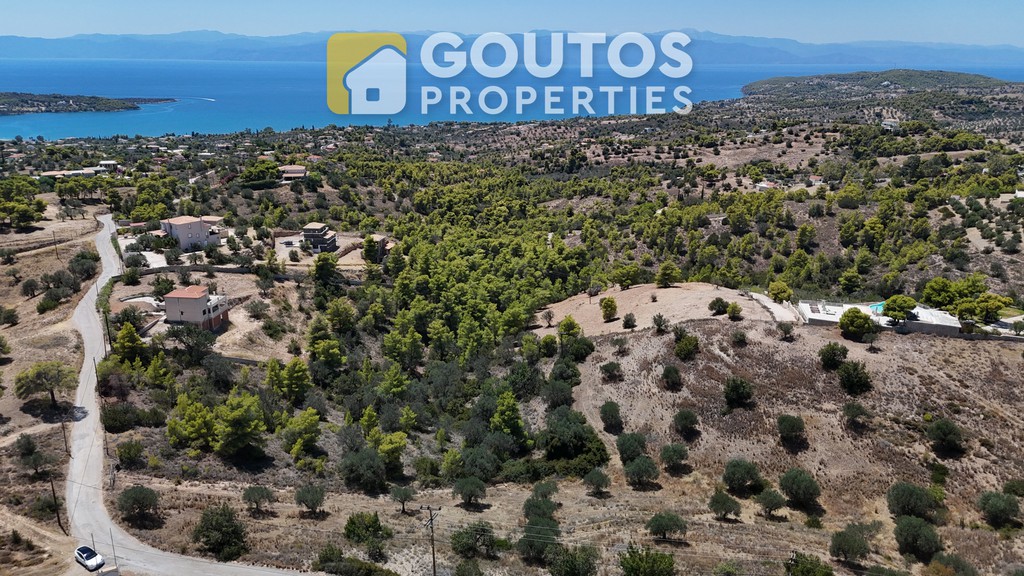 Οικόπεδο 32.000 τ.μ. προς πώληση, Αργολίδα, Κρανίδι