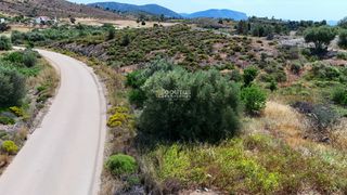 Οικόπεδο 303 τ.μ. πρός πώληση, Αργολίδα, Κρανίδι-thumb-1