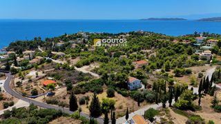 Οικόπεδο 1.000 τ.μ. πρός πώληση, Αργολίδα, Κρανίδι-thumb-9