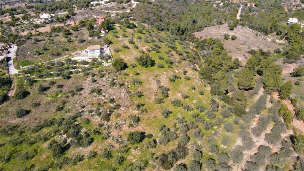 Οικόπεδο 20.000 τ.μ. προς πώληση, Αργολίδα, Κρανίδι