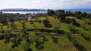 Οικόπεδο 20.000 τ.μ. πρός πώληση, Αργολίδα, Κρανίδι-thumb-6