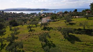Οικόπεδο 20.000 τ.μ. πρός πώληση, Αργολίδα, Κρανίδι-thumb-7