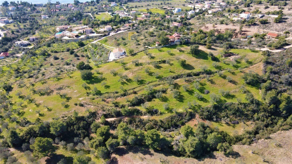 Οικόπεδο 20.000 τ.μ. προς πώληση, Αργολίδα, Κρανίδι