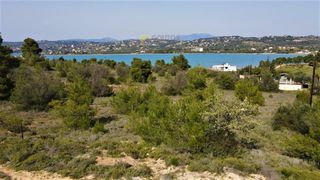 Αγροτεμάχια 4.072 τ.μ. για πώληση, Αργολίδα, Κρανίδι-thumb-12
